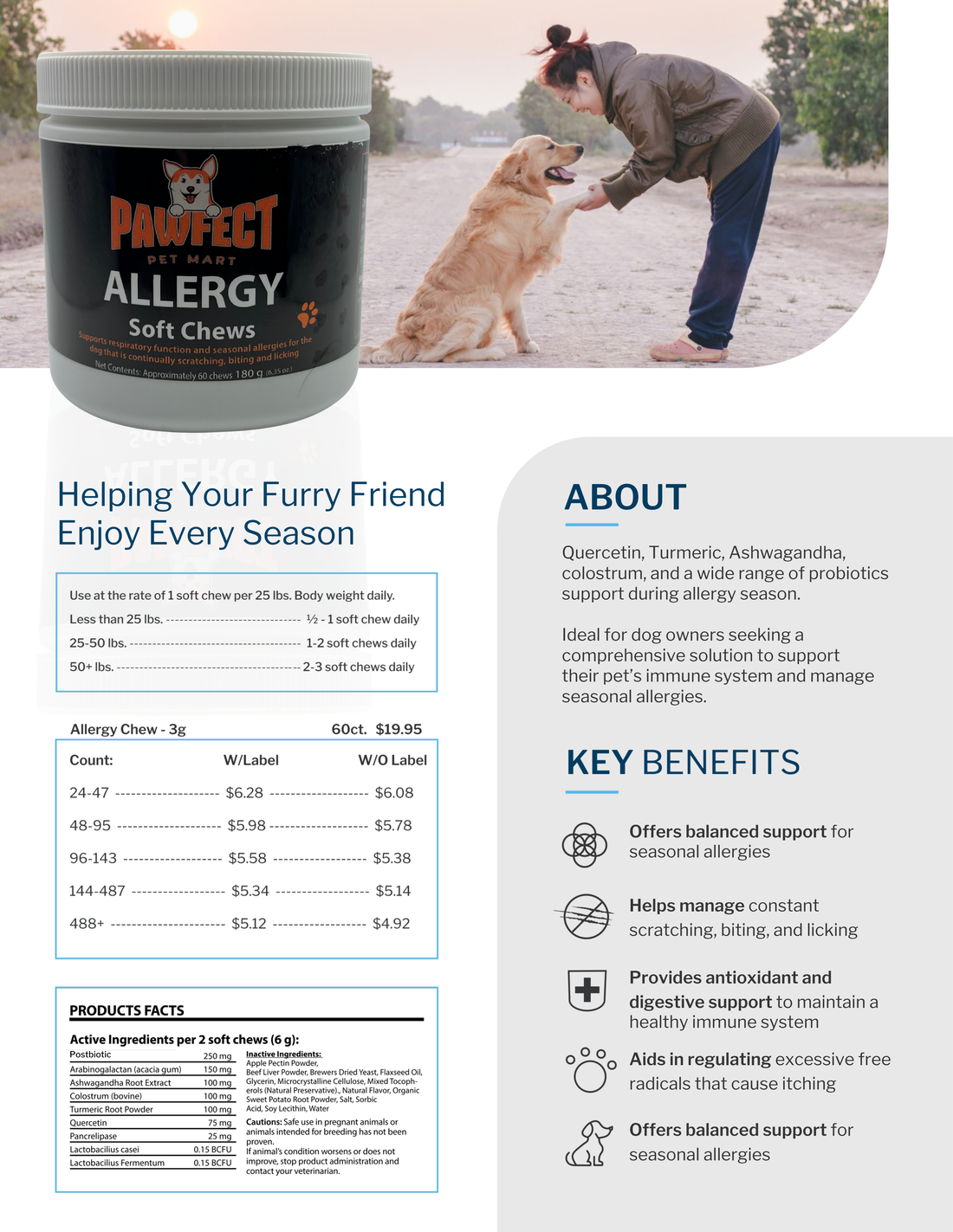 Helping Your Furry Friend  Enjoy Every Season